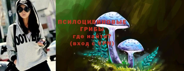 гашик Алзамай