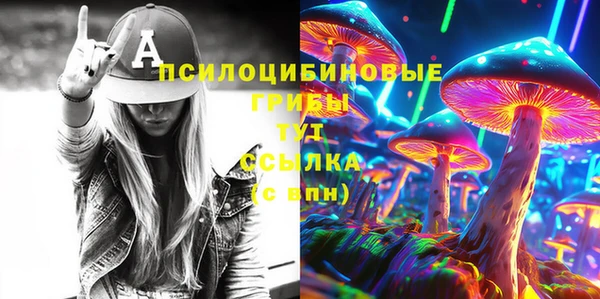 гашик Алзамай