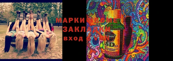 гашик Алзамай